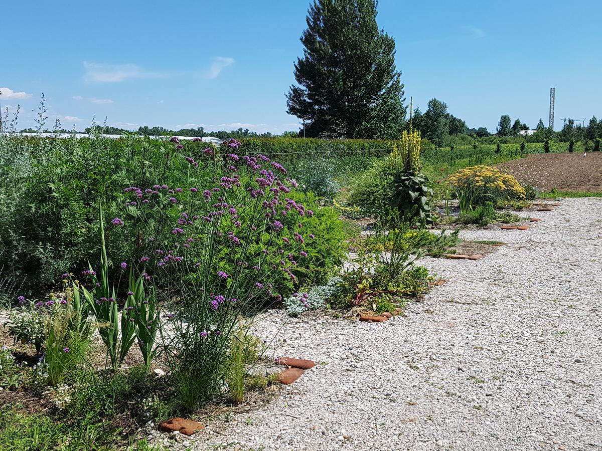 Villa Agriturismo Frascje Dai Spadons à Pradamano Extérieur photo
